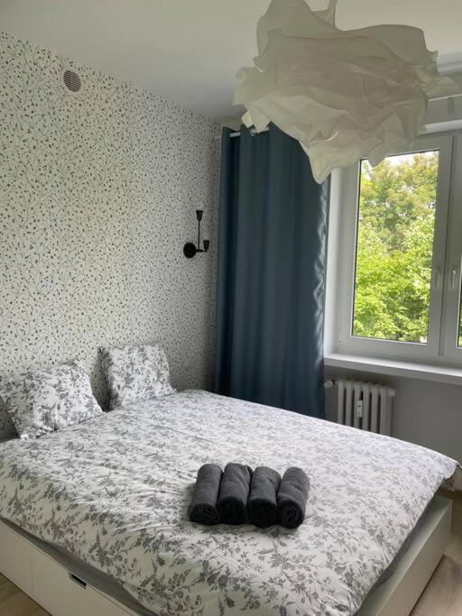 Apartament Kattowitz Sokolska Exteriör bild